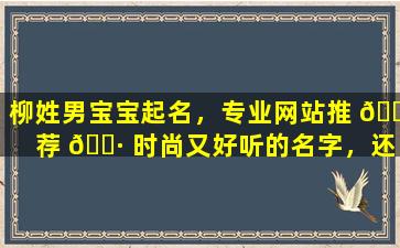 柳姓男宝宝起名，专业网站推 🐯 荐 🕷 时尚又好听的名字，还有哪些注意事项